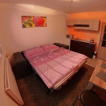 Garsonka Hlinik Daire Třeboň Dış mekan fotoğraf