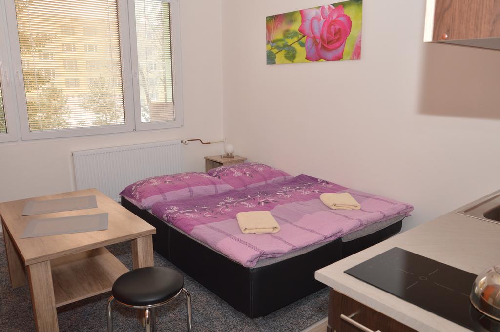 Garsonka Hlinik Daire Třeboň Dış mekan fotoğraf